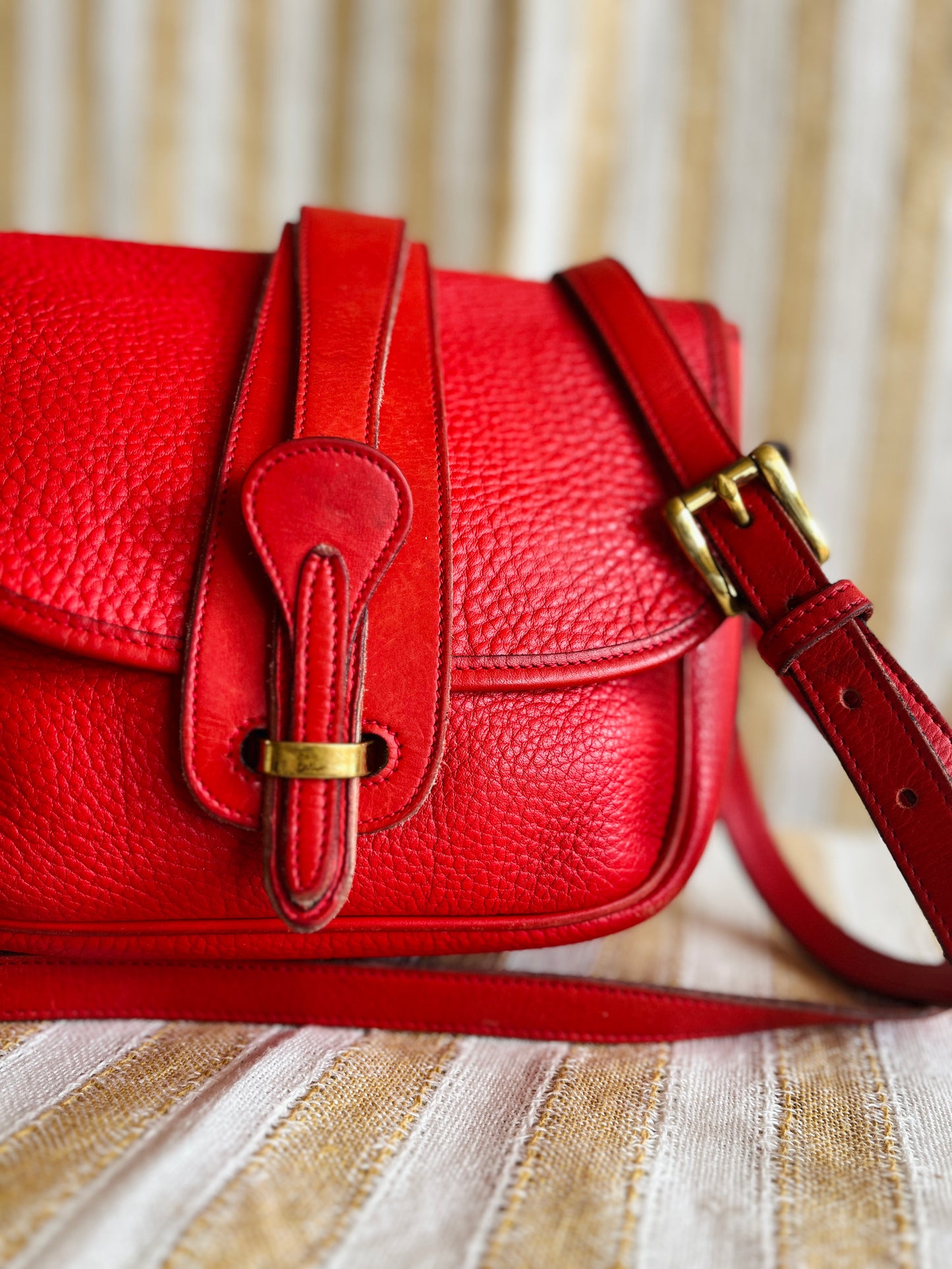 RED R56 Equestrian Binocular Tack Bag