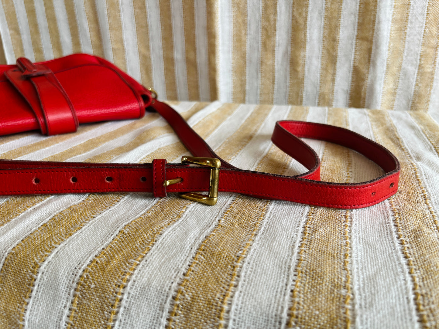 RED R56 Equestrian Binocular Tack Bag